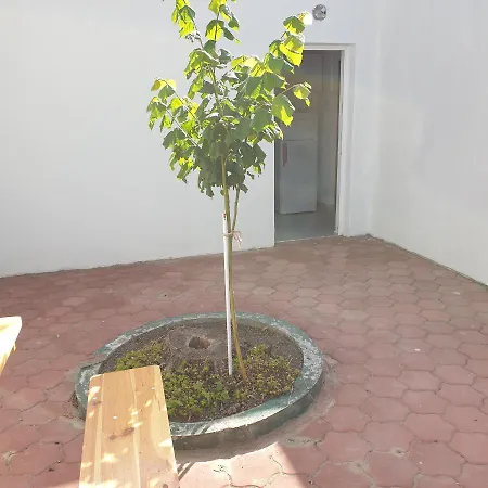 Casute Anastasia Πανσιόν Eforie Sud (Constanta)