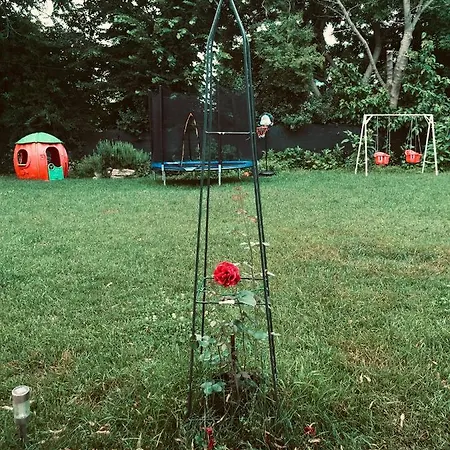 Casute Anastasia Πανσιόν Eforie Sud (Constanta)